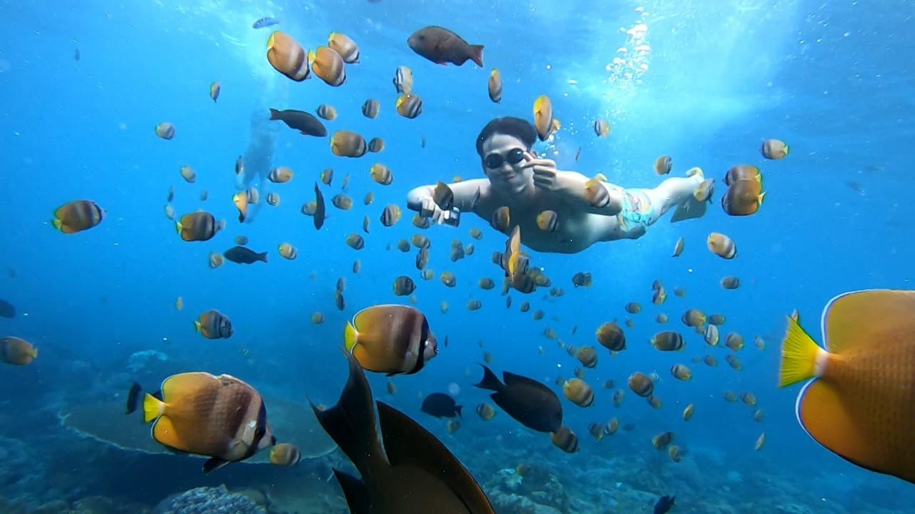 <b>[PACKAGE B]</b> 🛥️🤿 PRIVATE EARLY MORNING SNORKELING WITH MANTA RAY🐟🐟