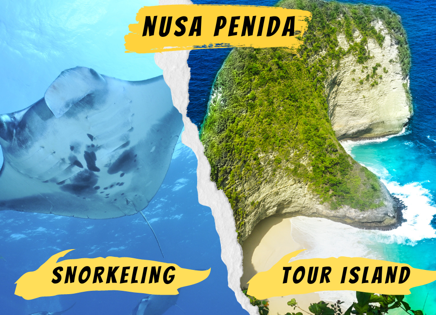 🏝️🏝️Private Tour Nusa Penida and Snorkling Manta Ray🤿🤿